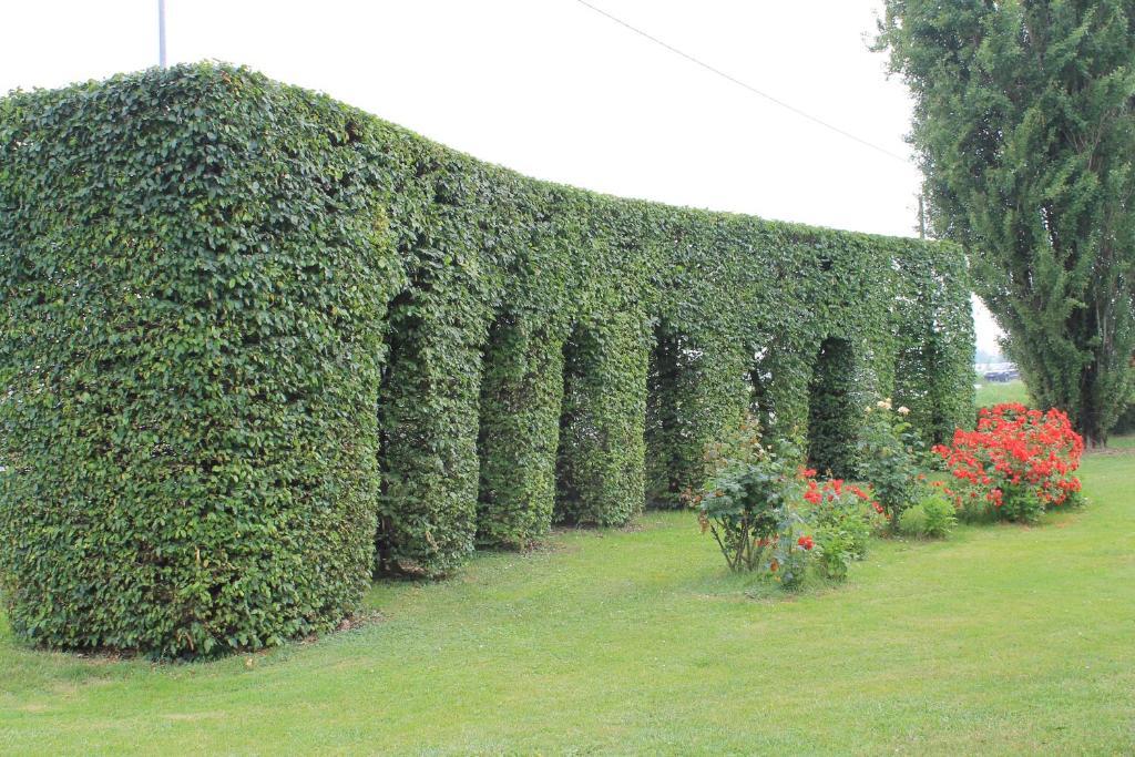 Villa Belvedere 1849 Misano di Gera dʼAdda Exterior foto